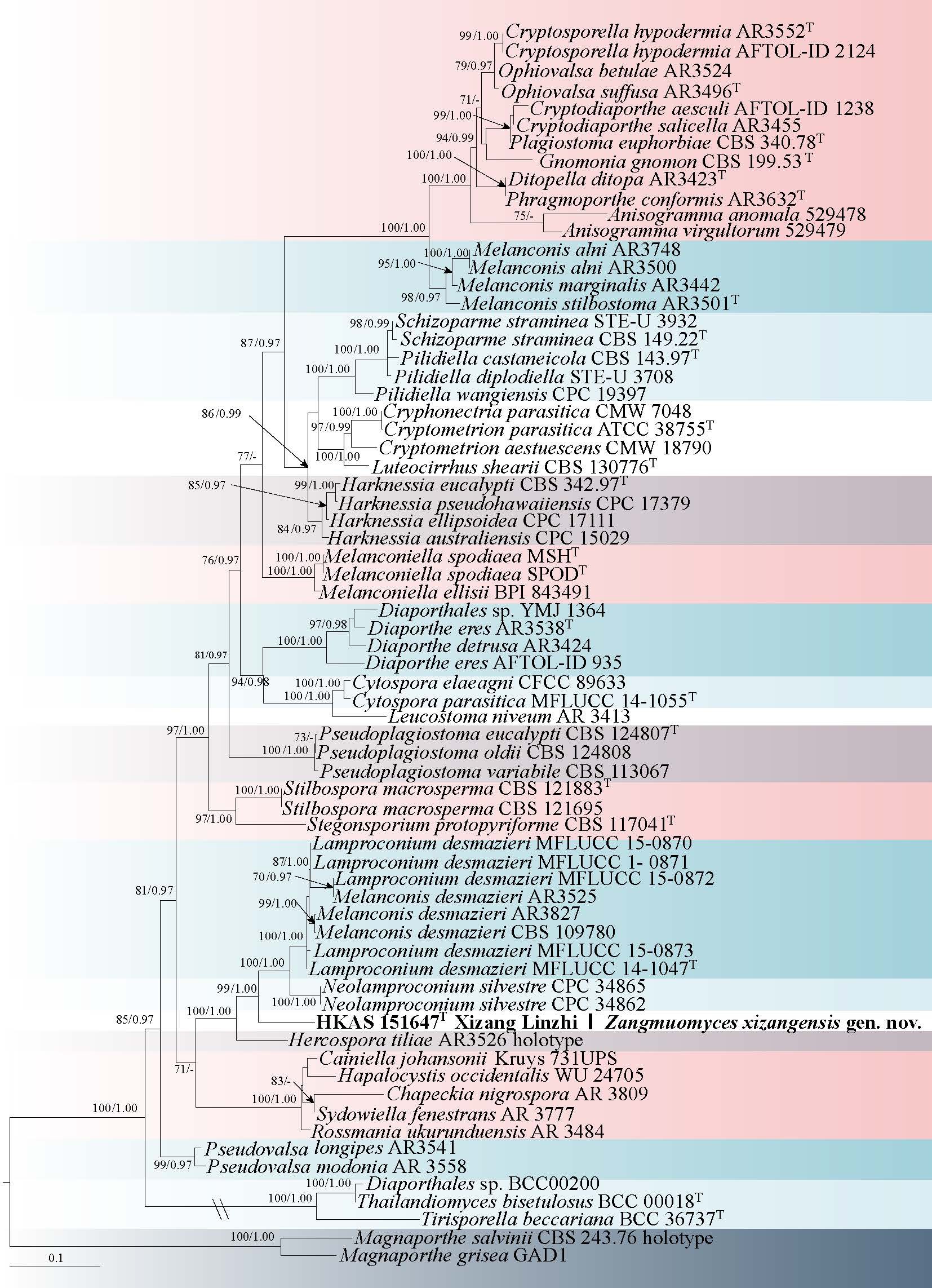 Figure 50